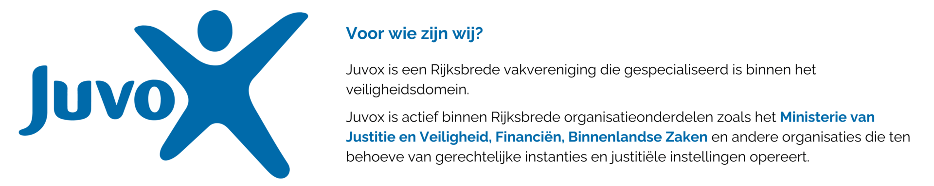 kopie-van-format-hero-caroussel-website-juvox-4